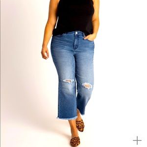 Eloquii distressed flare Jean